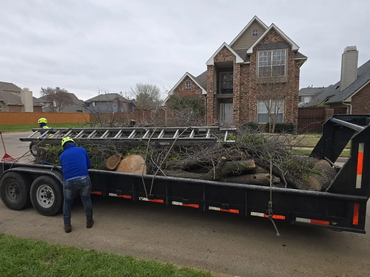 Expert Tree Fertilization with proper safety equipment in Donnelly